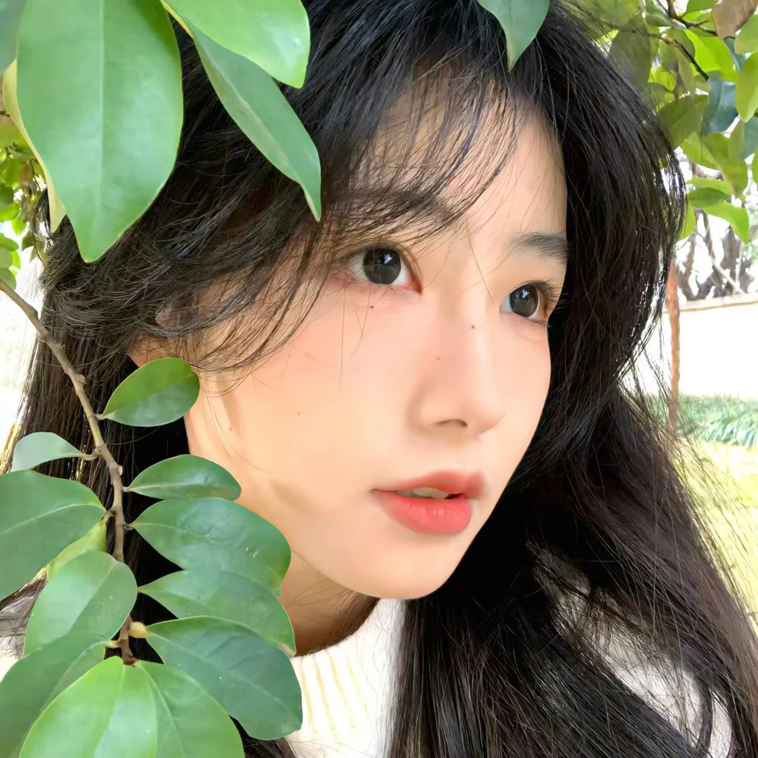 爱寻迷 封面